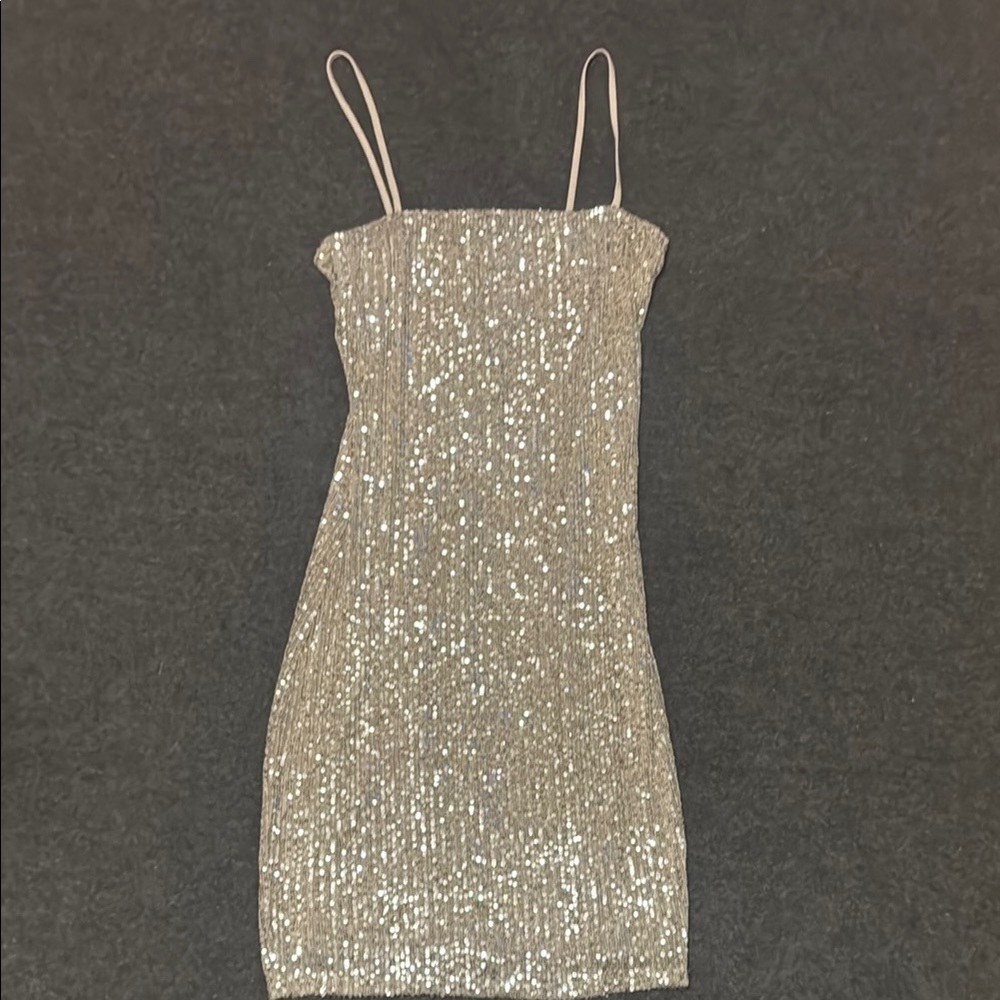 Elegant Silver Sequin Dress